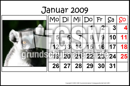 1-Januar-2009-quer.jpg